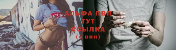 стаф Абинск