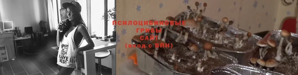 не бодяженный Абдулино