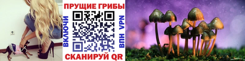 Галлюциногенные грибы Psilocybine cubensis  Чухлома 